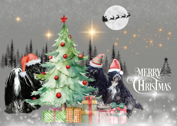 Weihnachtskarten mit Tibet-Terrier-Motiv (3er-Set, klassisch)